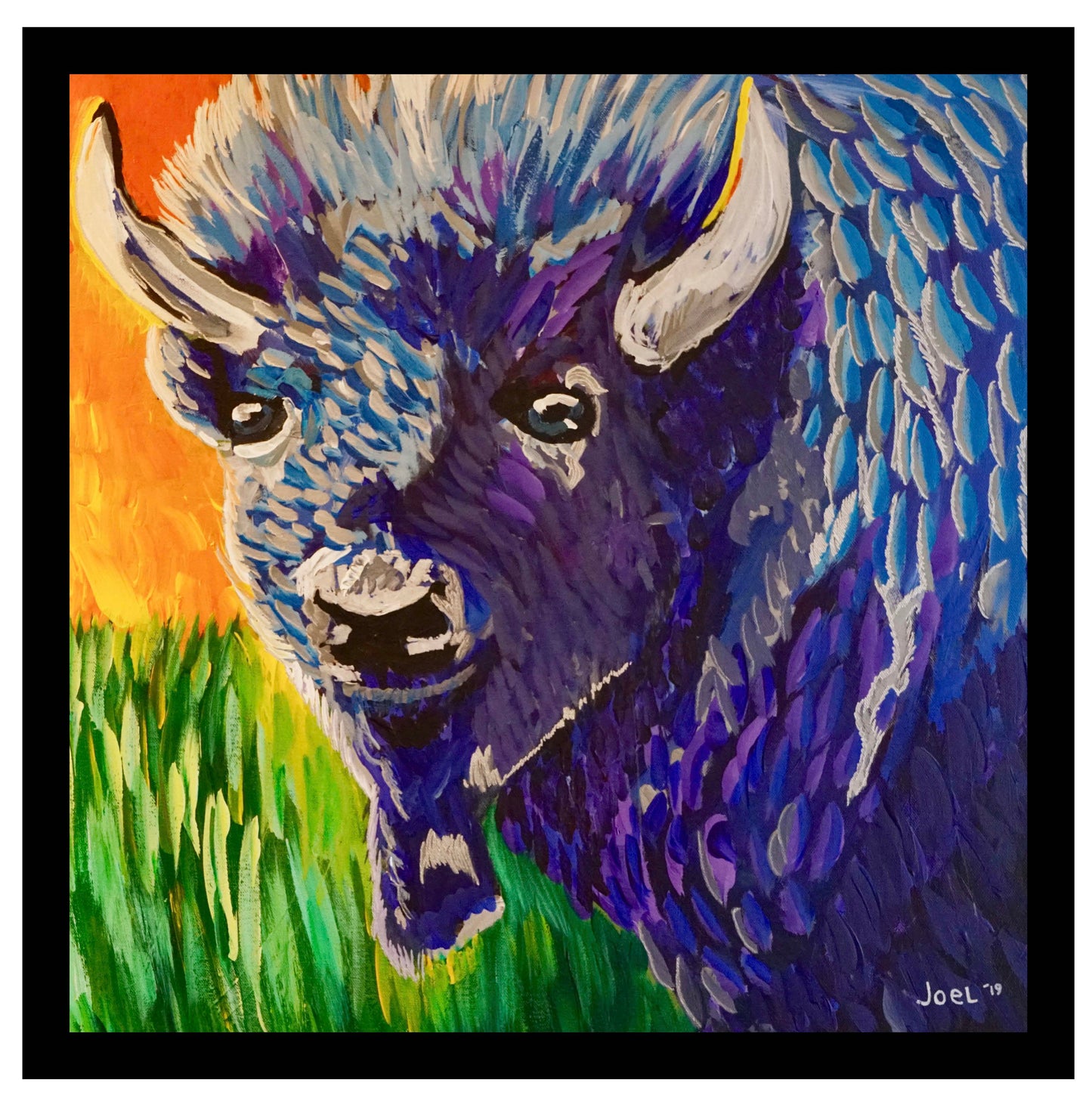 Joel's Vision Arts Framed Buffalo Print