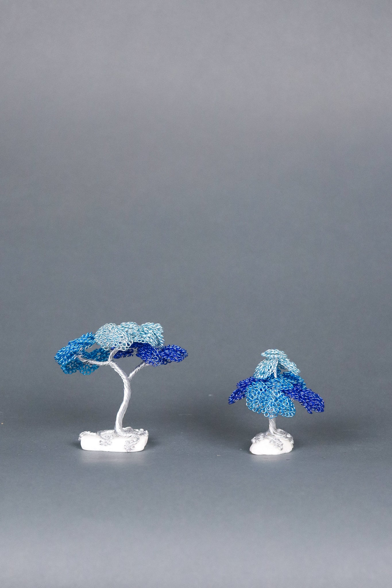 Jay's Phyllum Trees Blue Tree