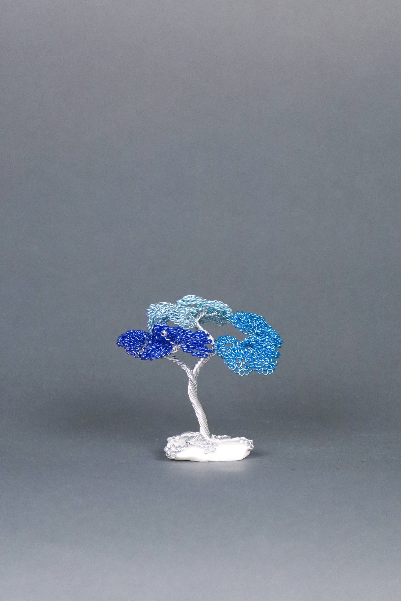 Jay's Phyllum Trees Blue Tree