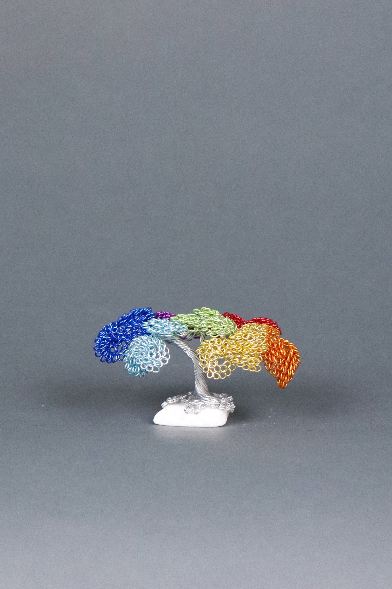 Jay's Phyllum Trees Rainbow Tree