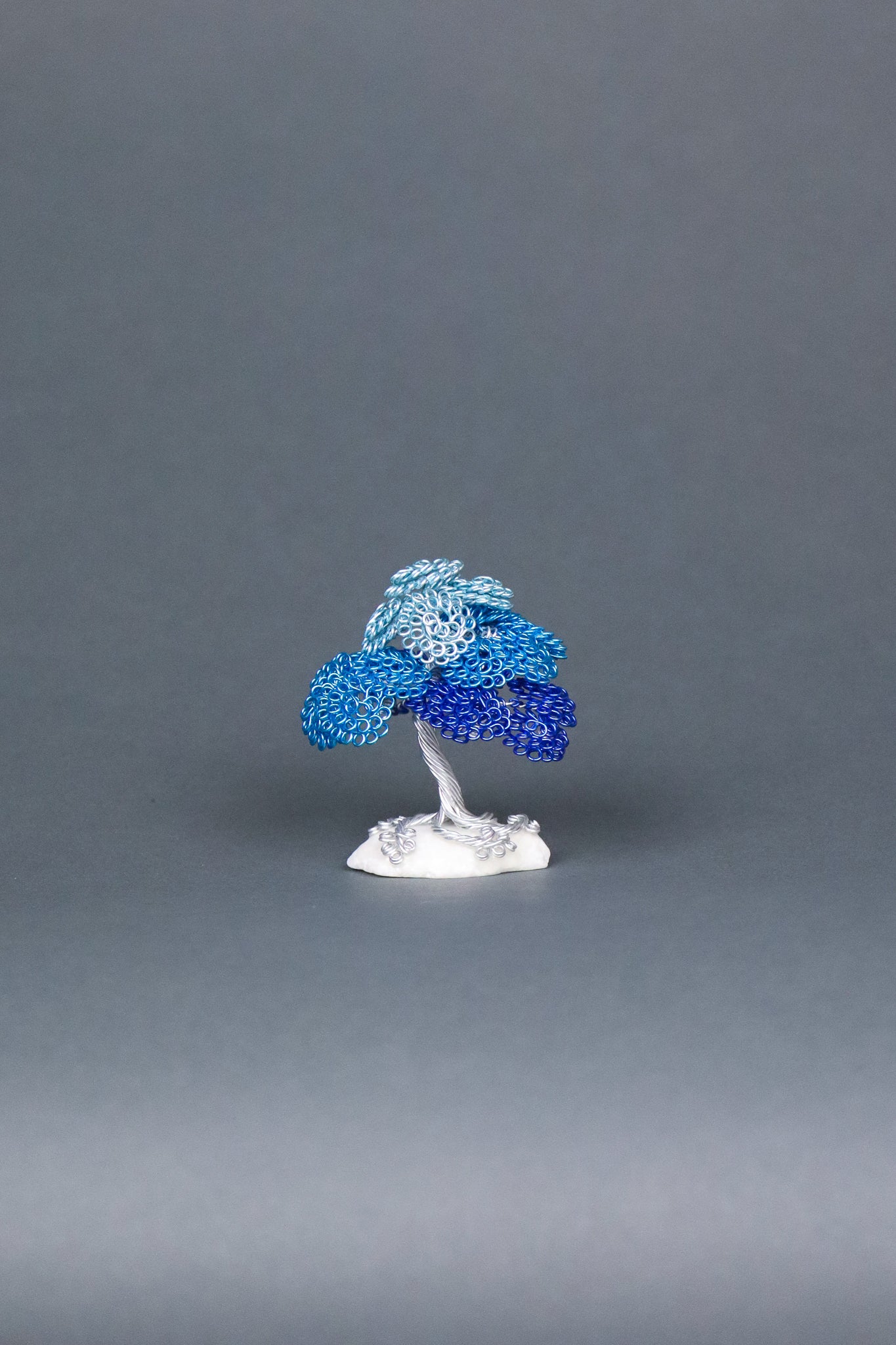 Jay's Phyllum Trees Blue Tree