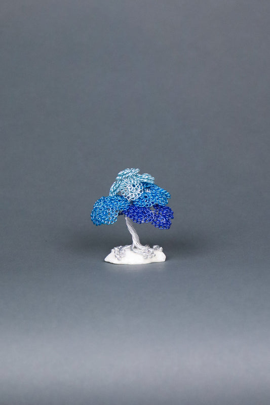 Jay's Phyllum Trees Blue Tree