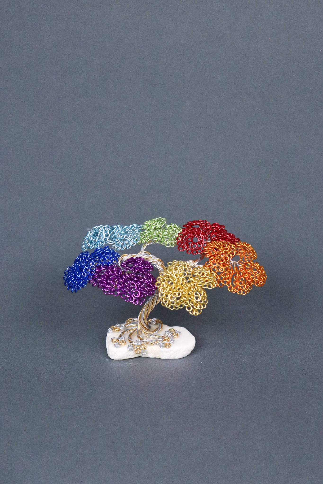 Jay's Phyllum Trees Rainbow Tree