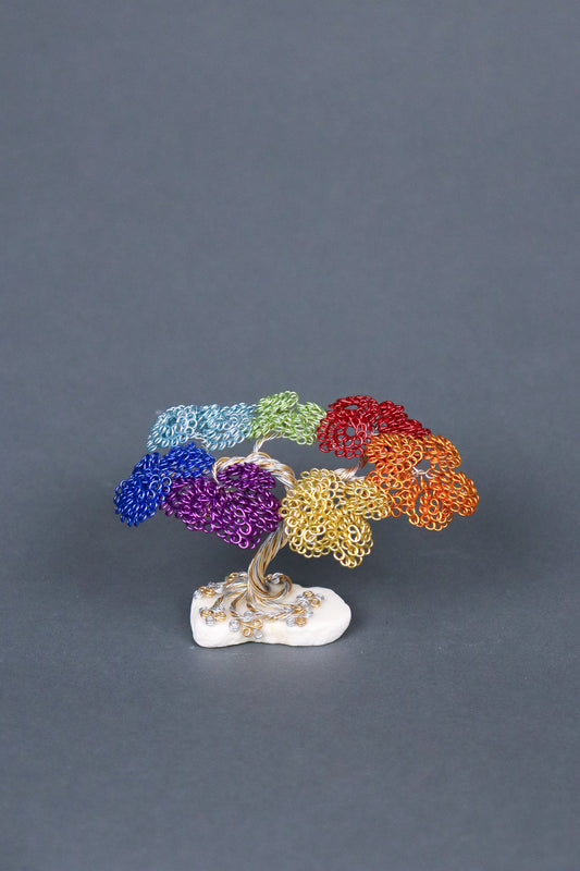 Jay's Phyllum Trees Rainbow Tree